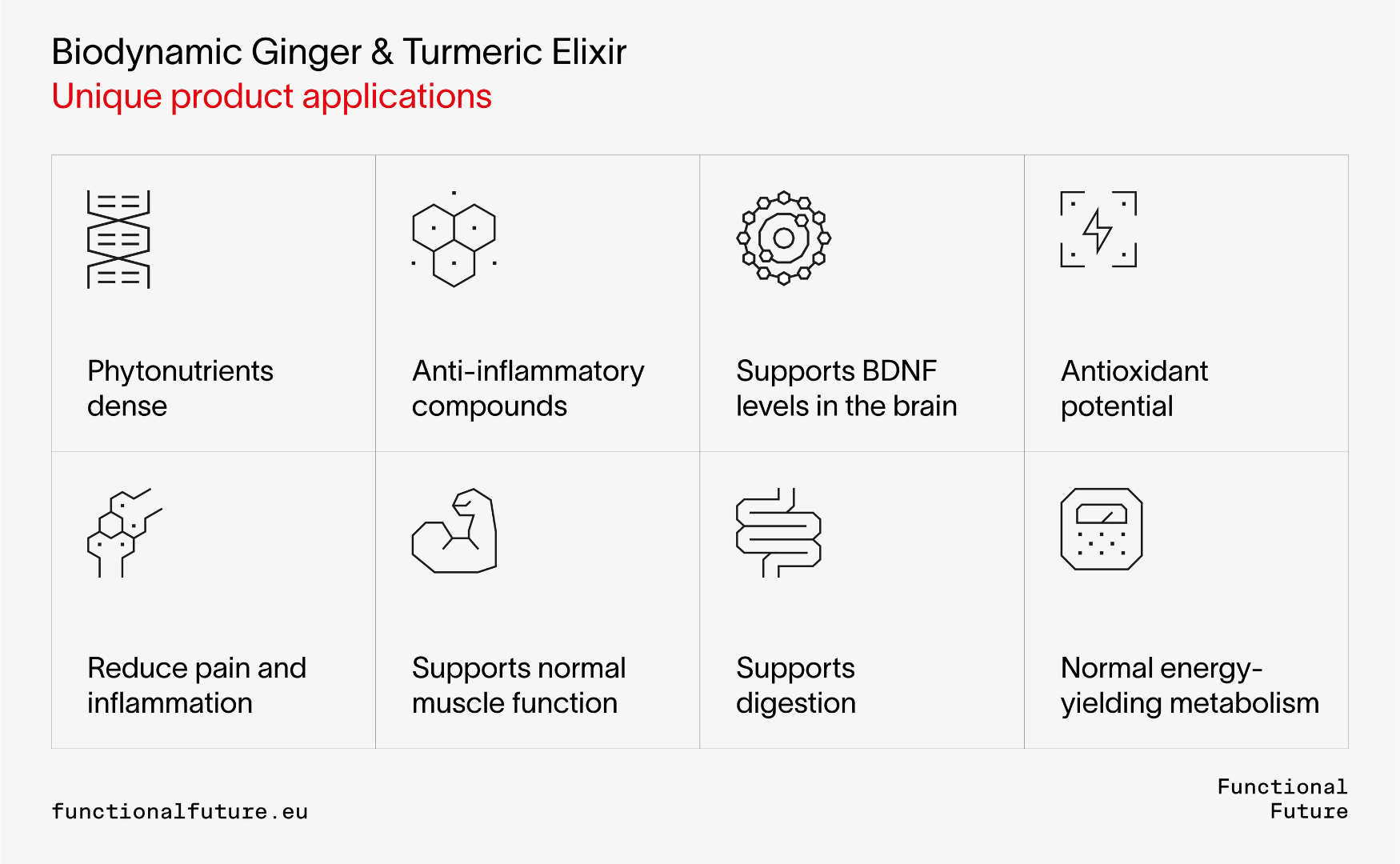 Biodynamic Ginger Turmeric Elixir