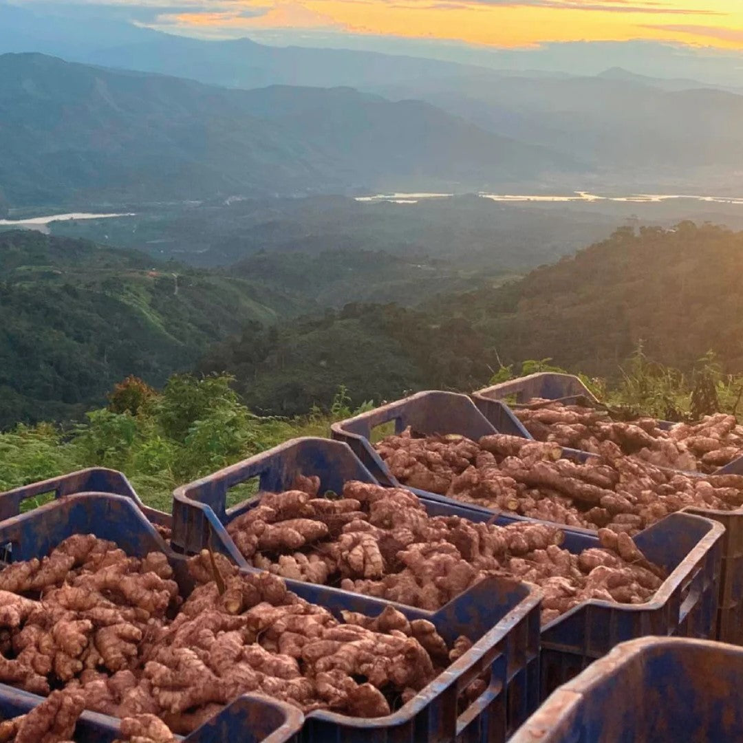 The Body Knows the Season