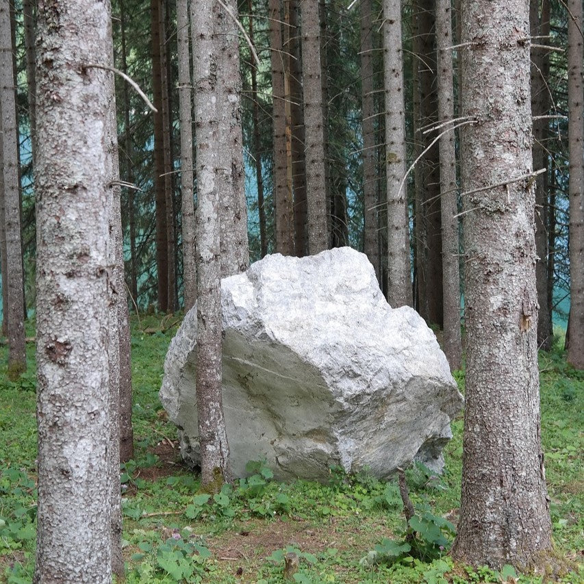 What We Carry but Never See